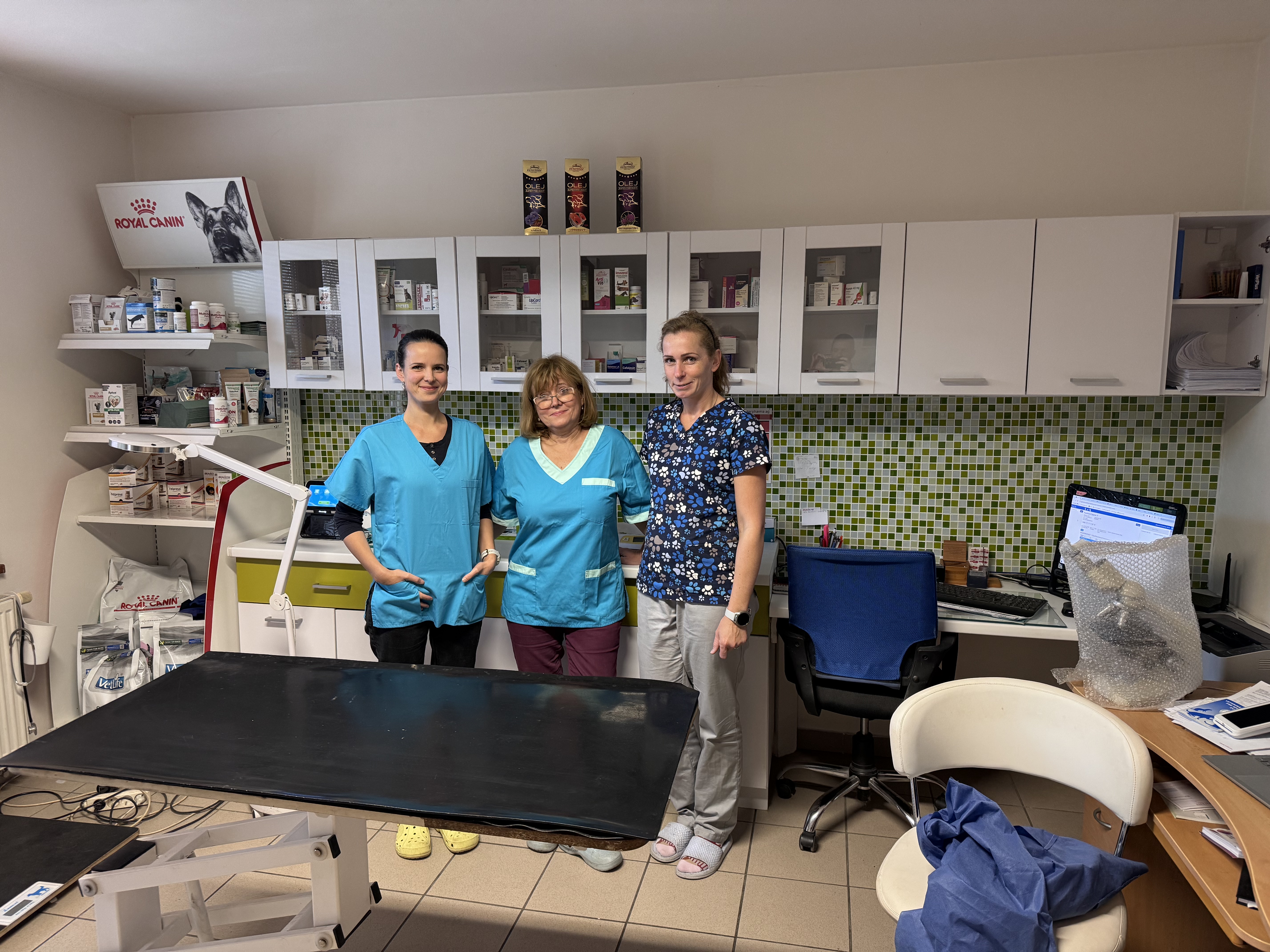 Tím veterinárnej ambulancie